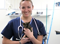 Veterinarian with Kitten